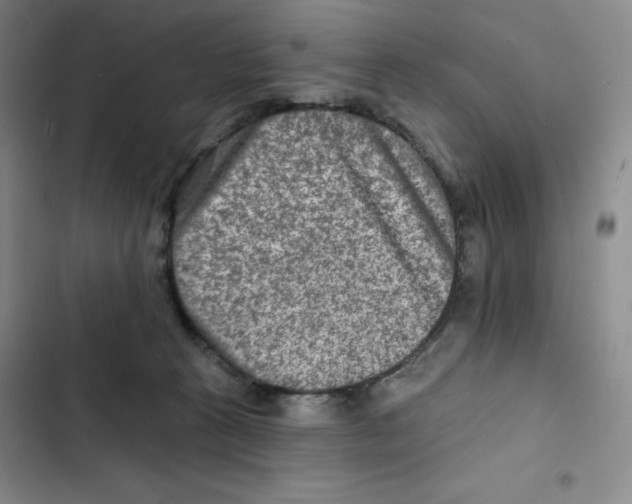 X0000102280273200808221312