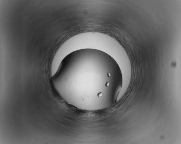 X0000102280276200808221312