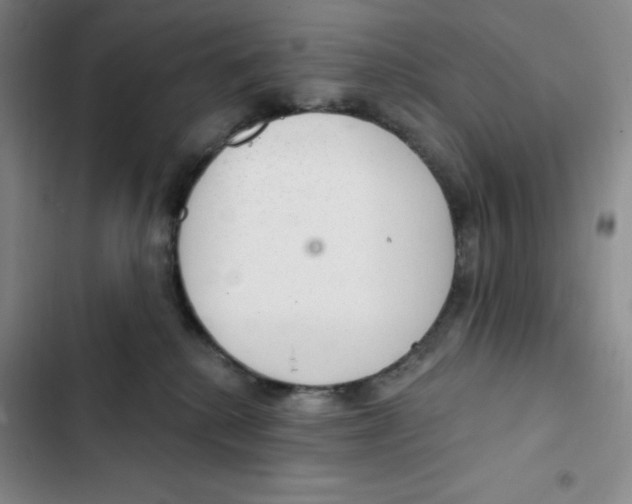 X0000102280280200808221312