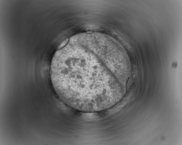 X0000102280281200808221312