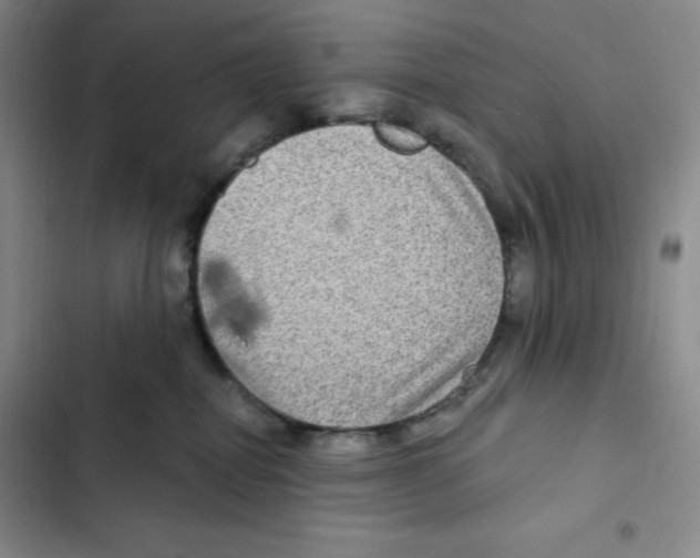 X0000102280282200808221312