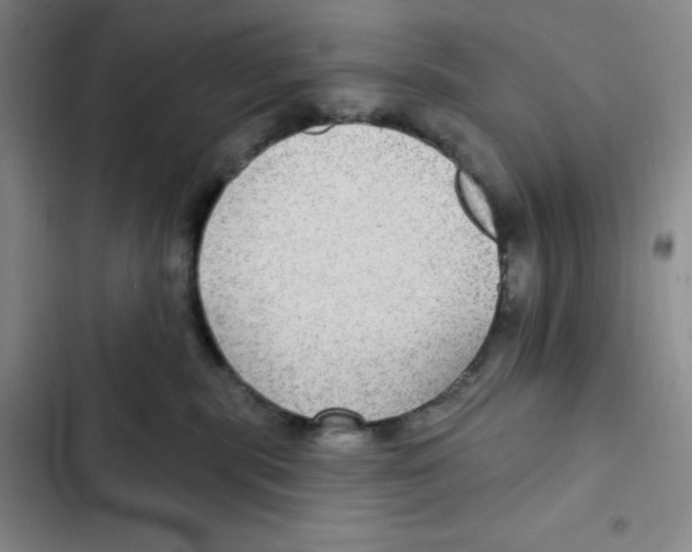 X0000102280283200808221312