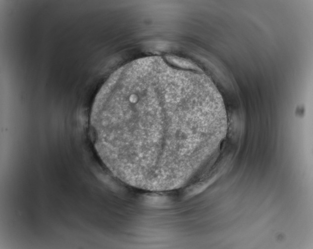 X0000102280284200808221312