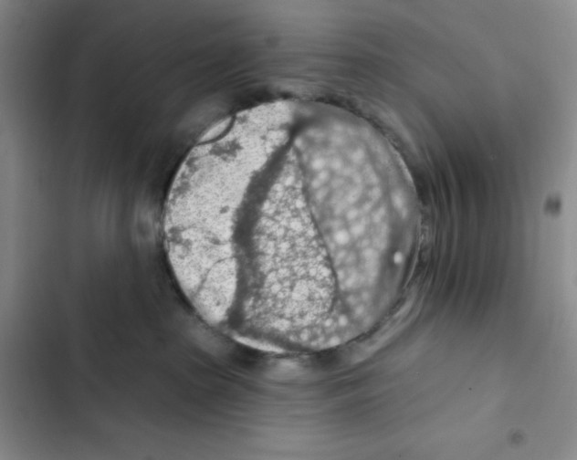X0000102280285200808221312