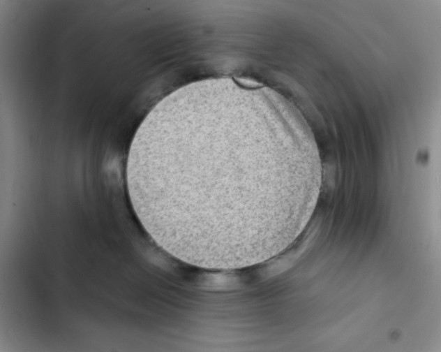X0000102280286200808221312