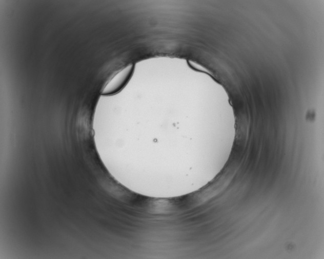 X0000102280287200808221312
