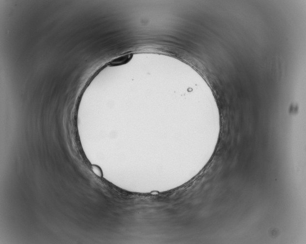 X0000102280289200808221311