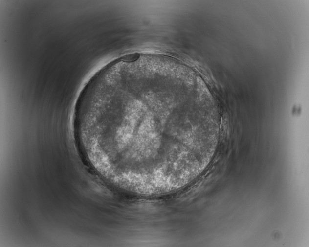 X0000102280292200808221311