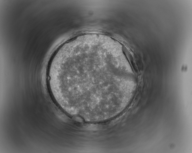 X0000102280293200808221311