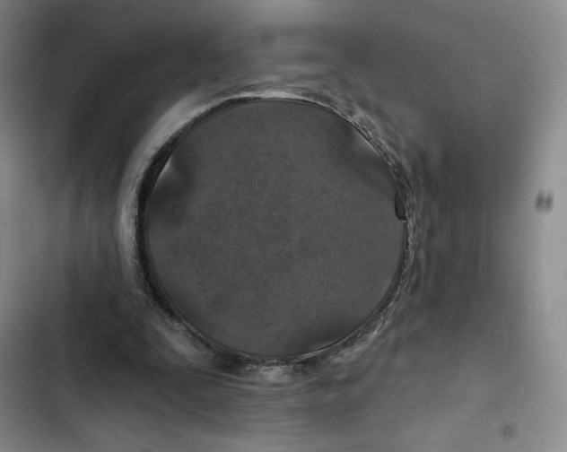 X0000102280295200808221311