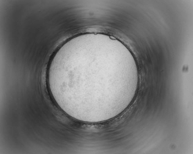 X0000102280297200808221311
