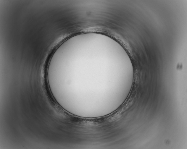 X0000102280298200808221311