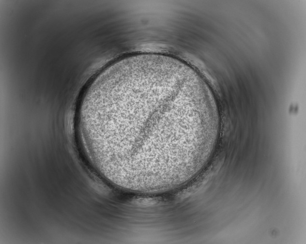 X0000102280299200808221311