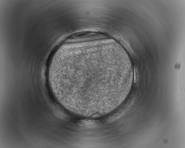 X0000102280300200808221311
