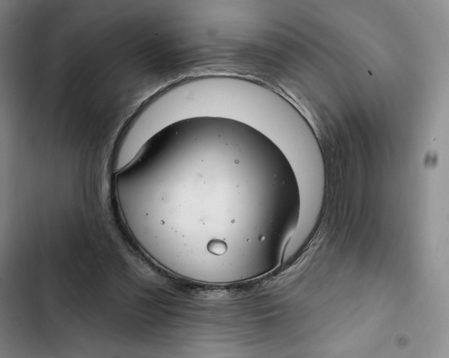 X0000102280301200808221311