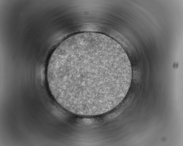 X0000102280302200808221311