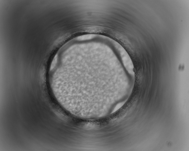 X0000102280303200808221311