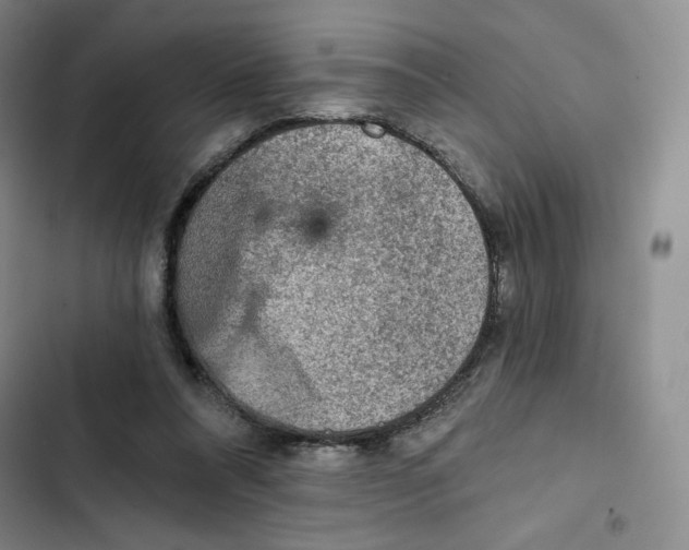 X0000102280304200808221311