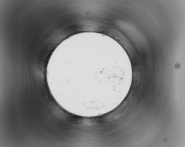 X0000102280305200808221311