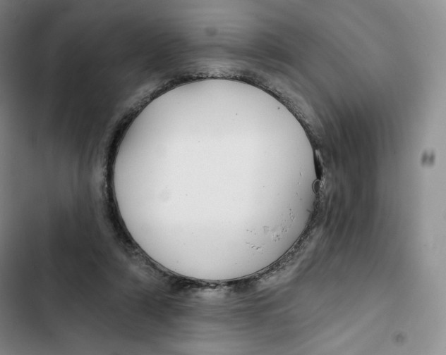 X0000102280306200808221311
