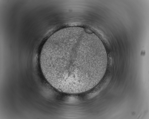 X0000102280308200808221311