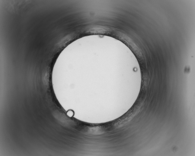 X0000102280309200808221311
