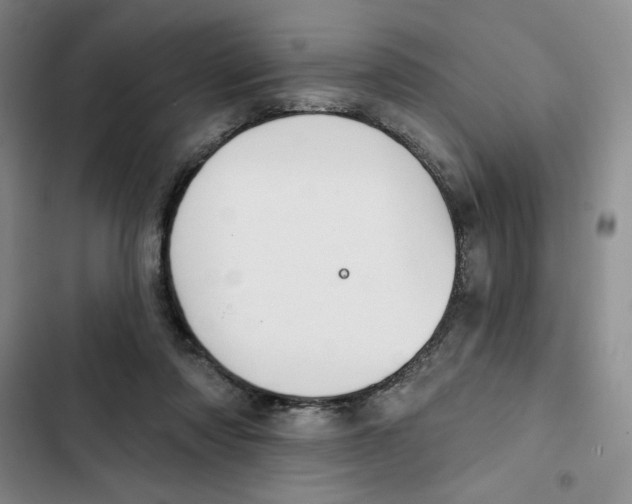 X0000102280310200808221311