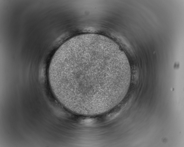 X0000102280312200808221311