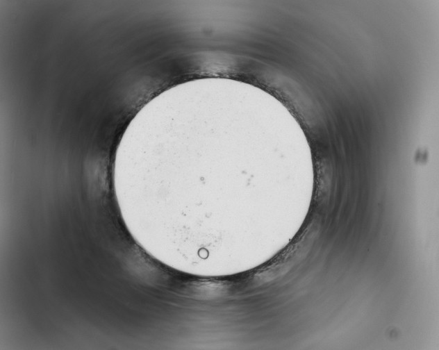 X0000102280313200808221311