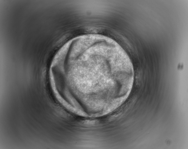 X0000102280314200808221311