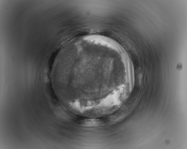 X0000102280316200808221311