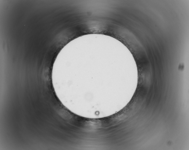 X0000102280317200808221311