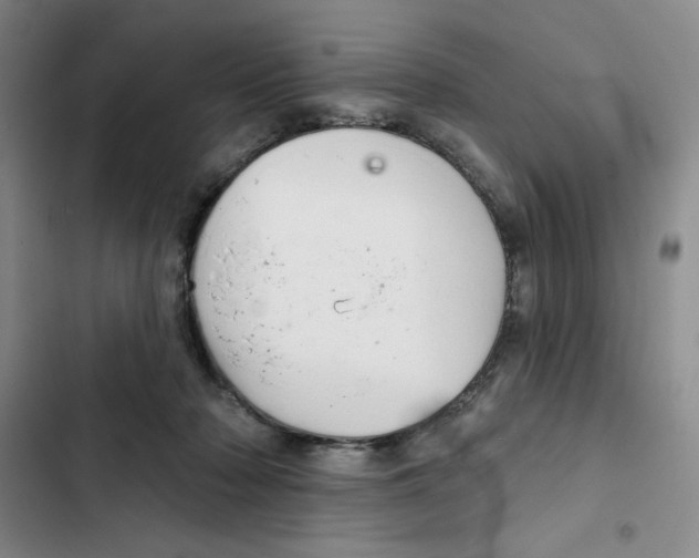X0000102280318200808221311
