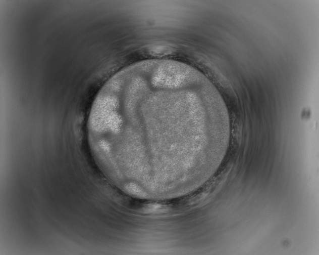 X0000102280319200808221311