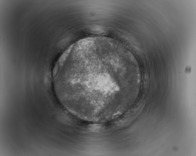 X0000102280320200808221311