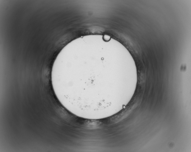X0000102280321200808221311