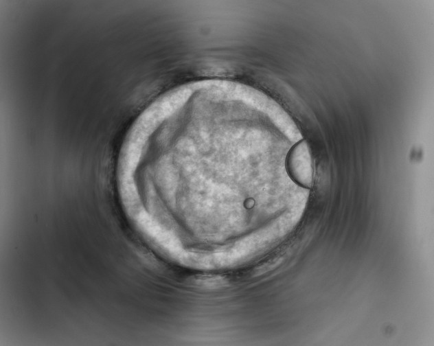 X0000102280322200808221311