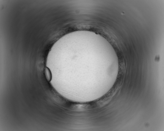 X0000102280323200808221310