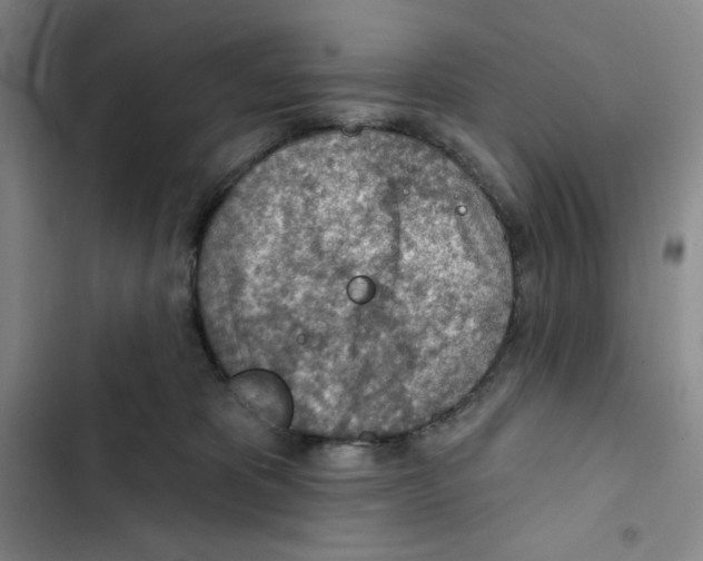 X0000102280325200808221310