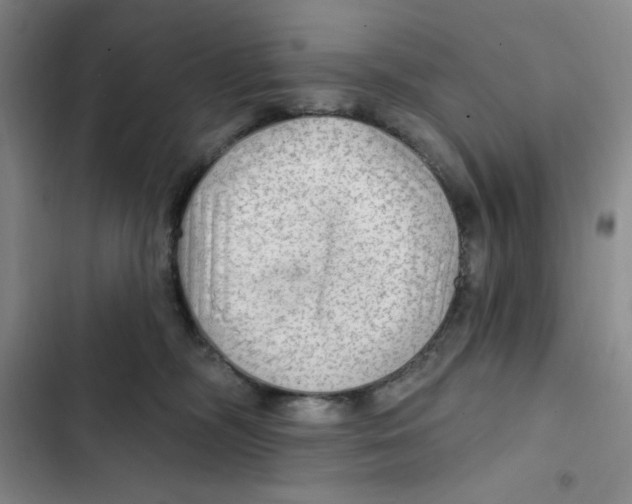X0000102280326200808221310