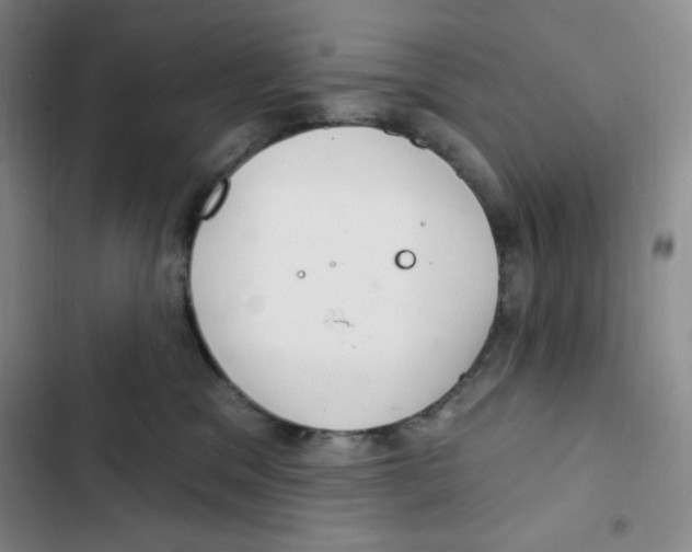 X0000102280329200808221310