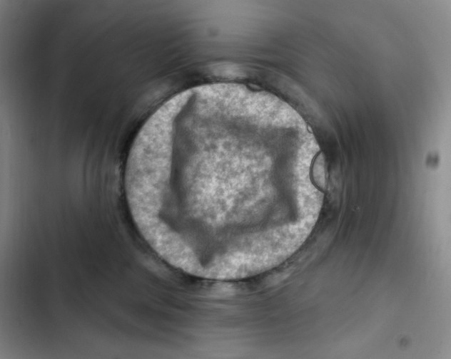 X0000102280330200808221310