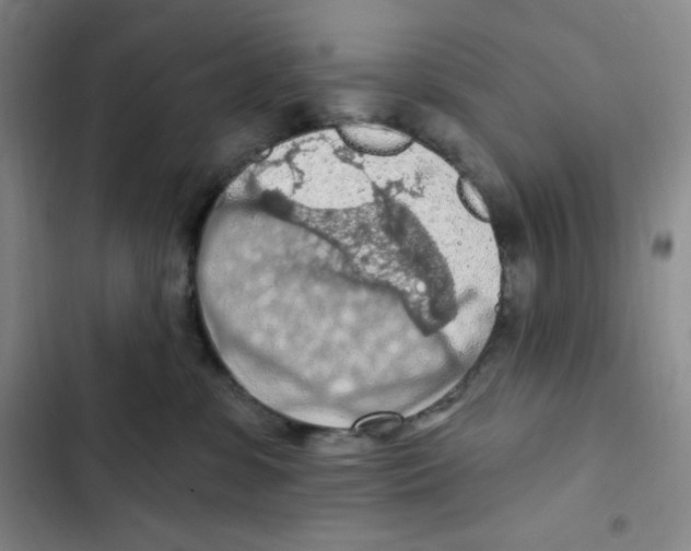 X0000102280331200808221310