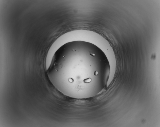 X0000102280332200808221310