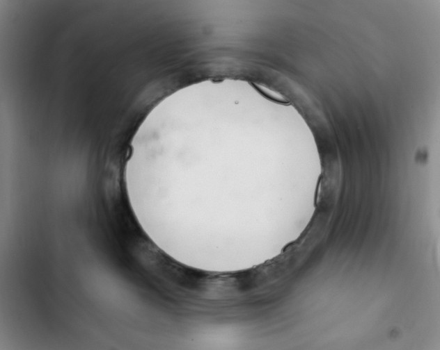 X0000102280333200808221310