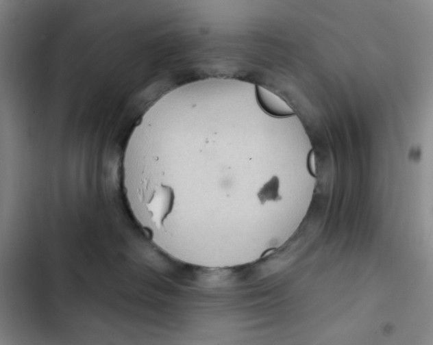 X0000102280334200808221310