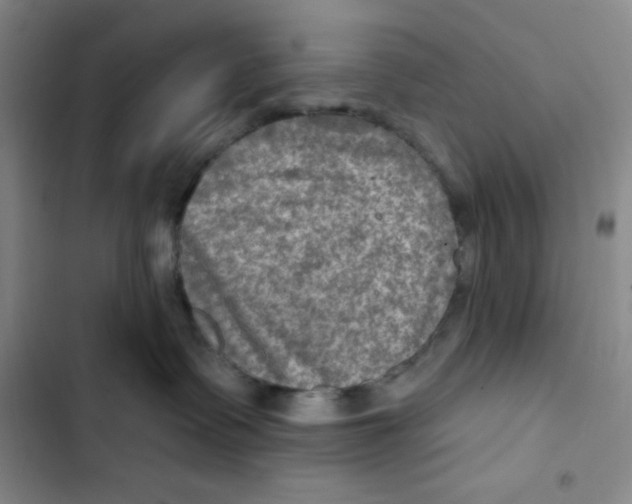 X0000102280335200808221310
