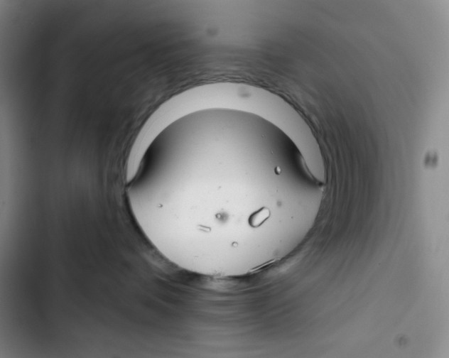 X0000102280336200808221310