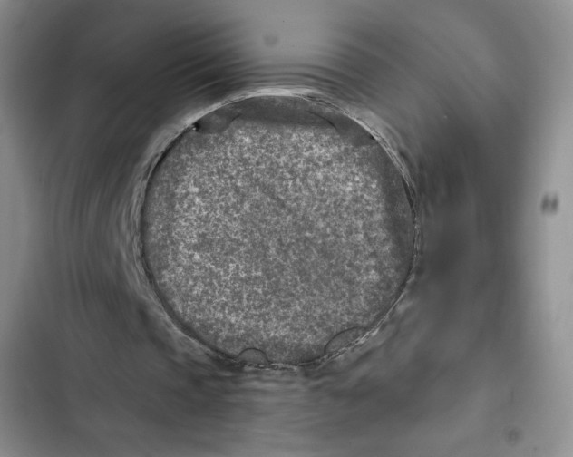 X0000102280337200808221309