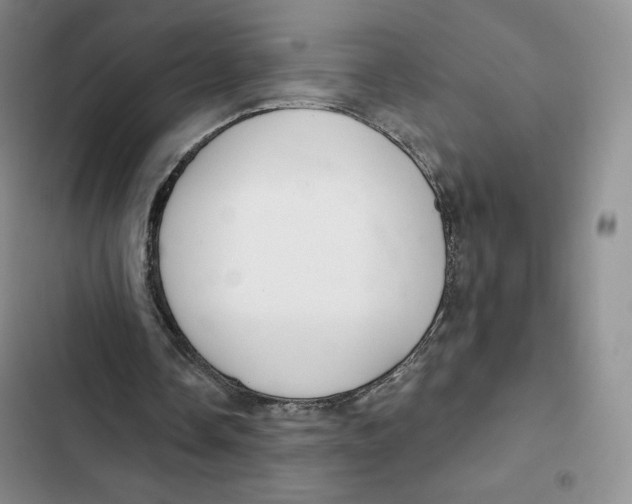 X0000102280338200808221309